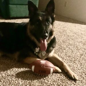 Meet your Posher, Jeremy